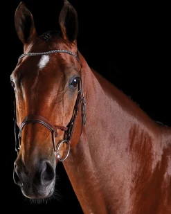 Outlet WEATHERBEETA Collegiate® ComFiTec™ Crystal Bridle