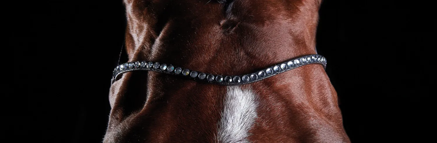 Outlet WEATHERBEETA Collegiate® ComFiTec™ Crystal Bridle