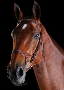 Hot WEATHERBEETA Collegiate® ComFiTec™ Fancy-Stitched Bridle