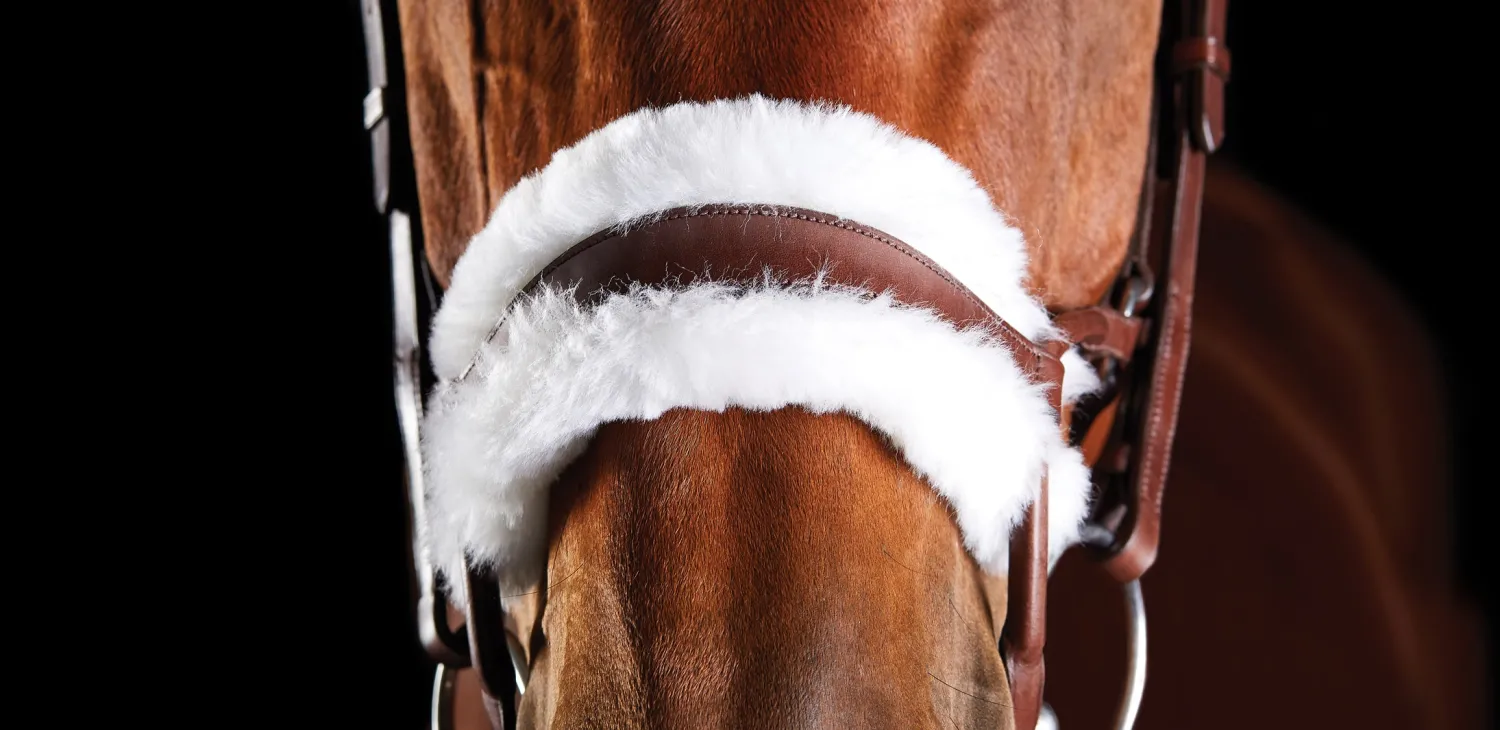 Discount WEATHERBEETA Collegiate® ComFiTec™ Sheepskin Bridle