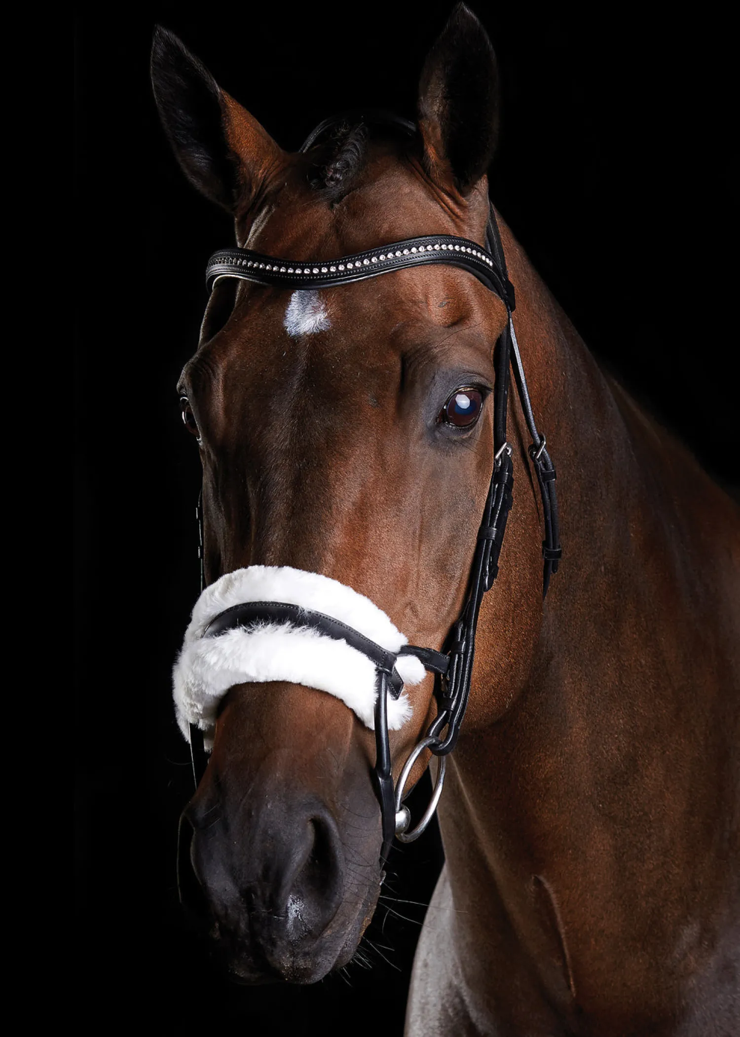Discount WEATHERBEETA Collegiate® ComFiTec™ Sheepskin Bridle
