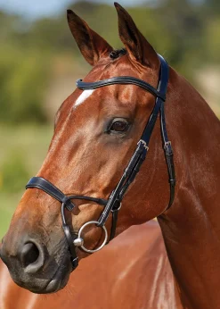 Online WEATHERBEETA Collegiate® ComFiTec™ Training Bridle
