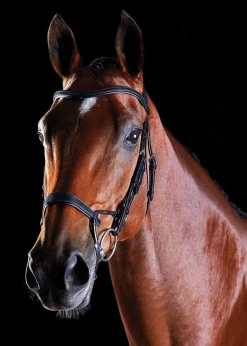 Online WEATHERBEETA Collegiate® ComFiTec™ Training Bridle