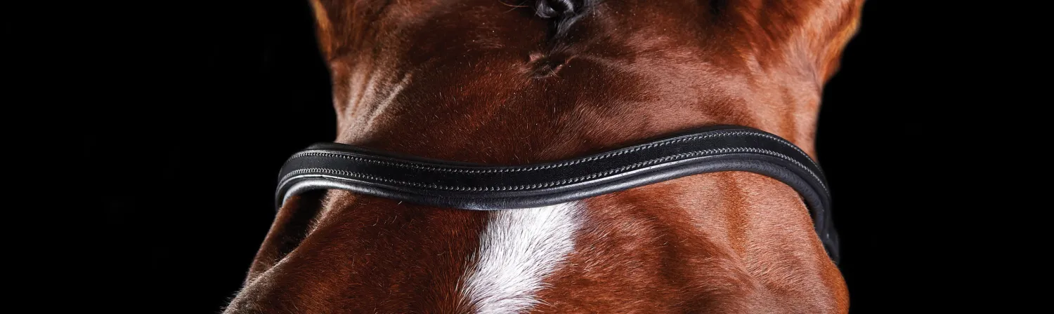 Online WEATHERBEETA Collegiate® ComFiTec™ Training Bridle