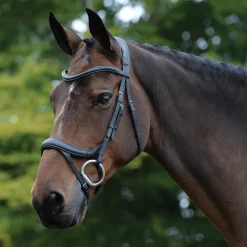 Hot WEATHERBEETA Collegiate® ComFiTec™ Vogue Anatomic Bridle