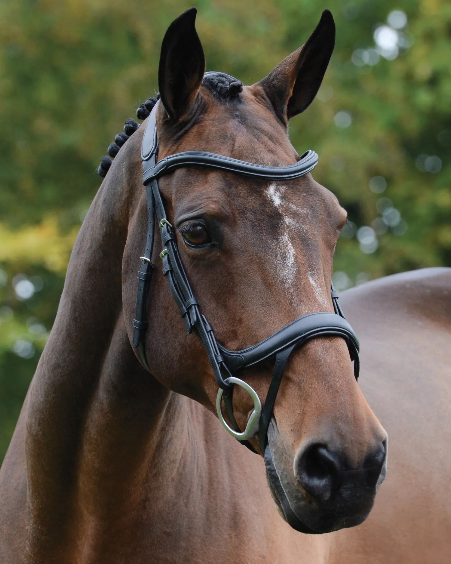 Hot WEATHERBEETA Collegiate® ComFiTec™ Vogue Anatomic Bridle
