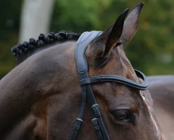 Hot WEATHERBEETA Collegiate® ComFiTec™ Vogue Anatomic Bridle