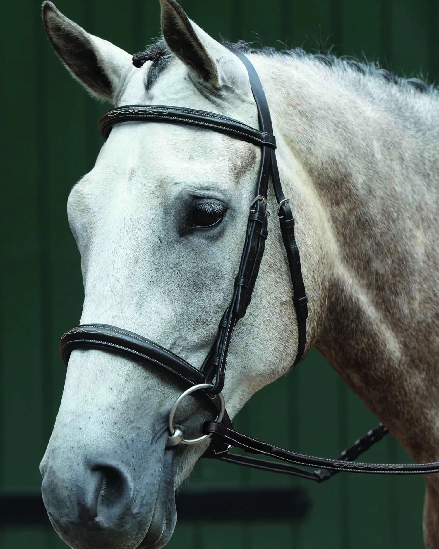 Discount WEATHERBEETA Collegiate® Essential Padded Raised Fancy-Stitched Caveson Bridle Brown