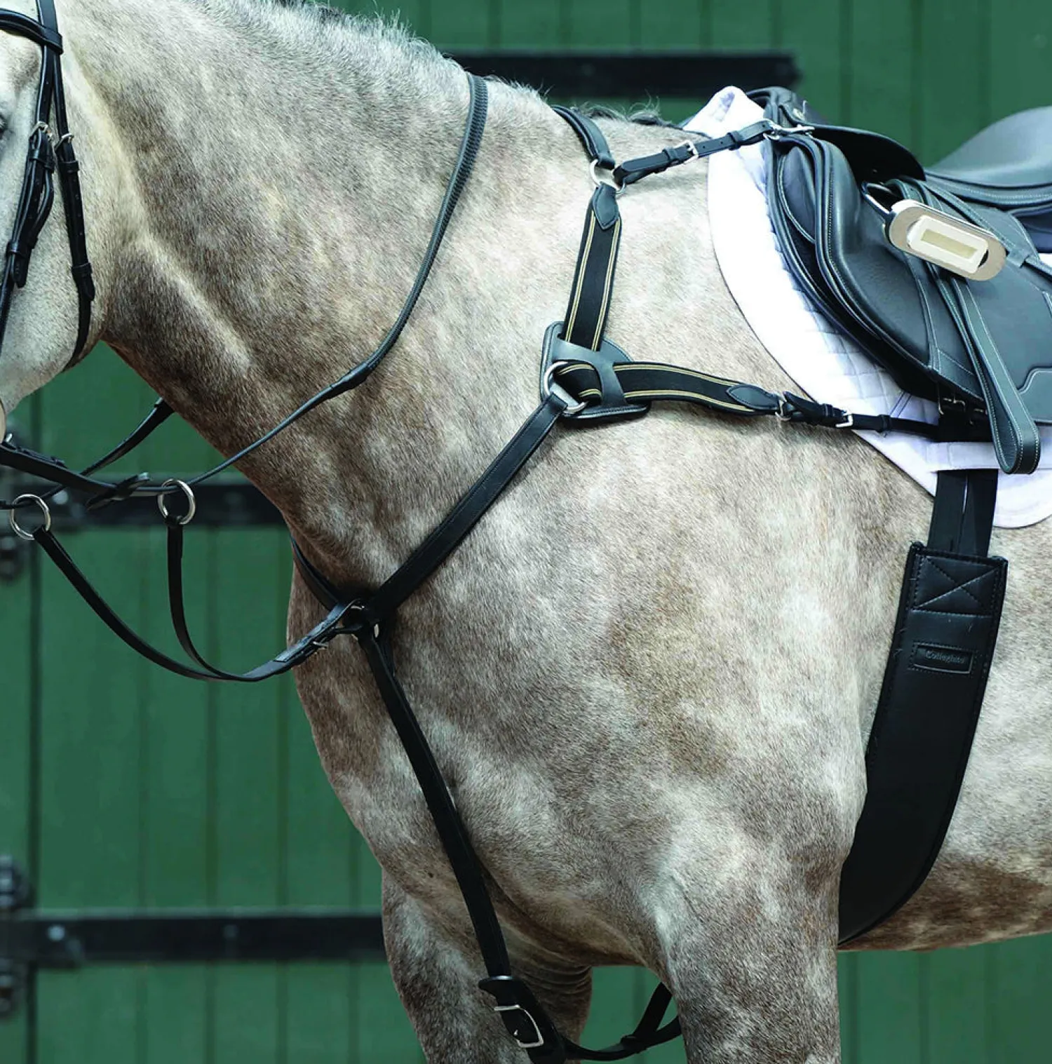 Sale WEATHERBEETA Collegiate® Essential 5-Point Breastplate