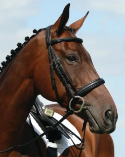 Sale WEATHERBEETA Collegiate® Syntovia+ Padded Raised Caveson Bridle