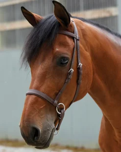 Discount BITLESS BRIDLE Dr. Cook's Beta BitlessBridle™