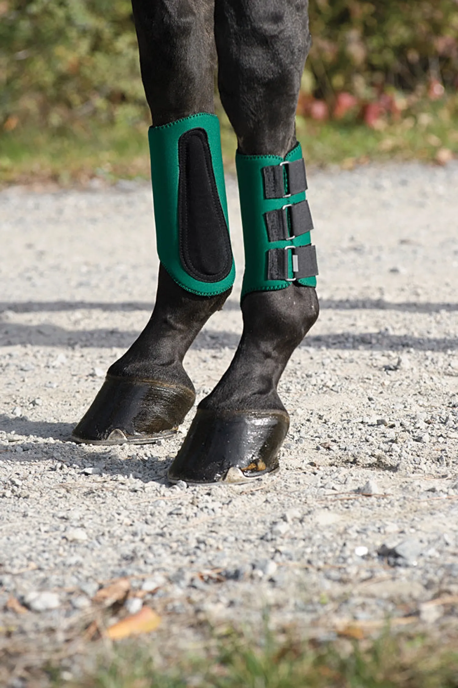 Discount KING YOUNG DS All-Purpose Galloping Boots