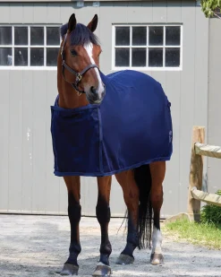 Clearance TEXT HORSE DS Awards Cooler Navy
