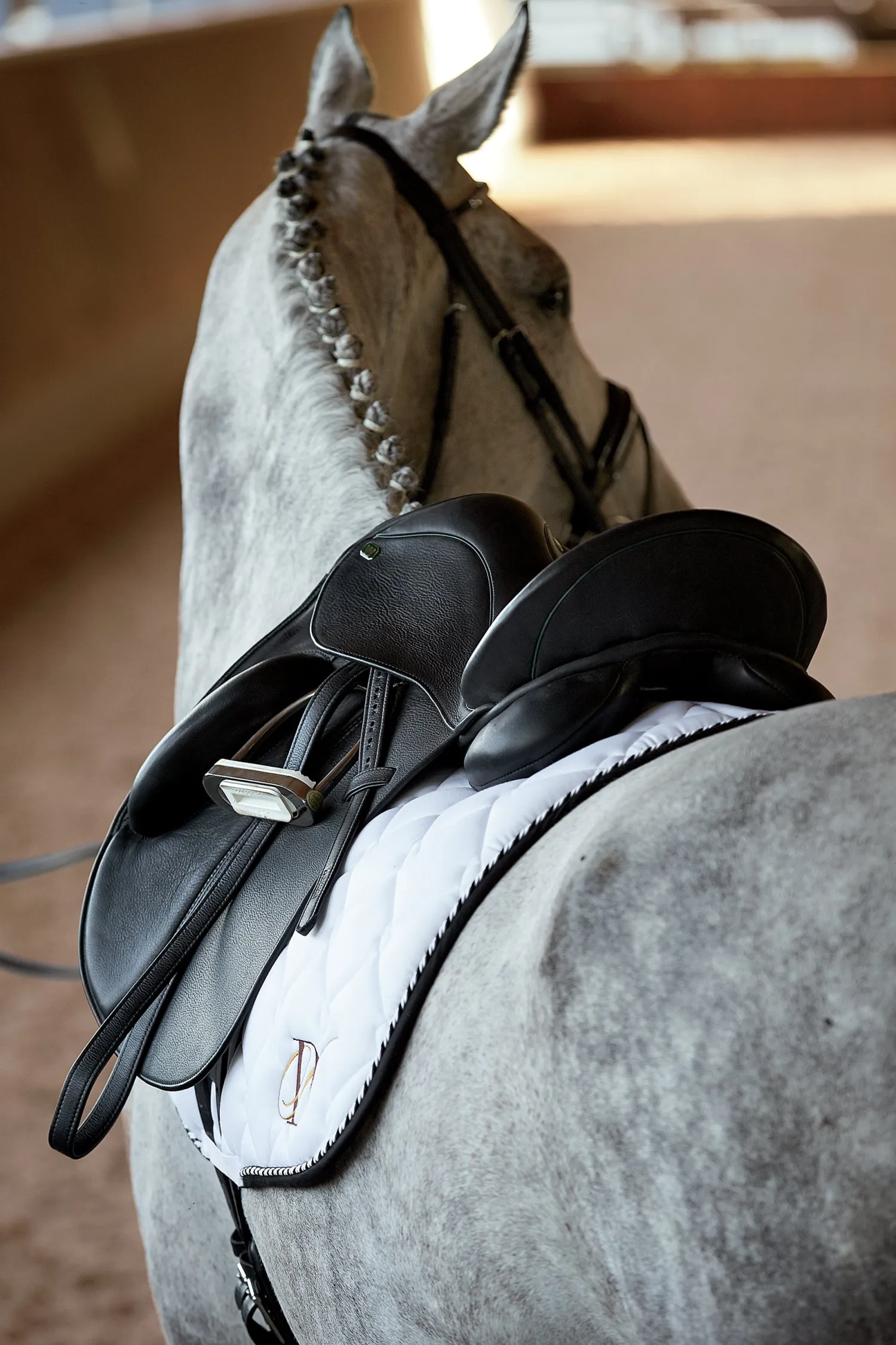 Sale CUEROS SANTA CRUZ DS Classic Dressage Saddle