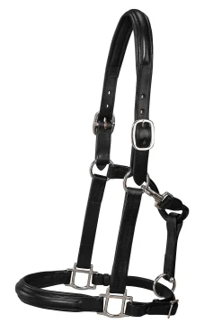 New HARMOHN KRAFT DS Classic Plain Raised Padded Halter