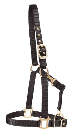 Hot ZEETA INTERNATIONAL DS Heavy Nylon Halter