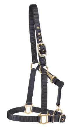 Hot ZEETA INTERNATIONAL DS Heavy Nylon Halter