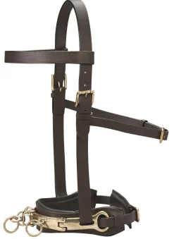 Online KINGS INTERNATIONAL DS Leather Lunge Caveson