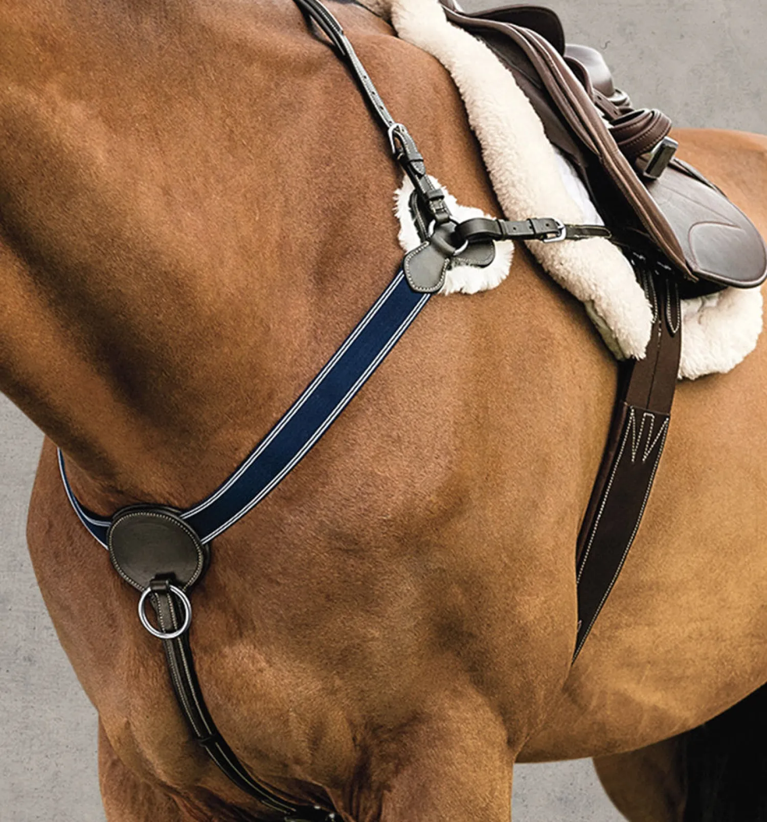 Discount KINGS INTERNATIONAL DS 3-Point Breastplate Brown