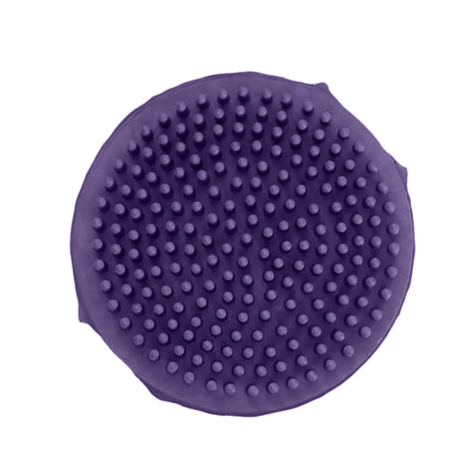 Hot SHIVAM DS Round Medium Curry Purple