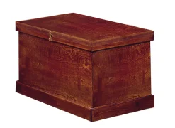 Clearance PHOENIX WEST DS Standard Show Trunk
