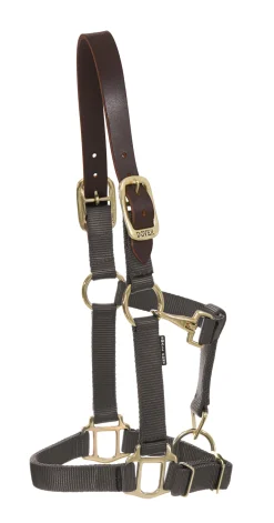Best ZEETA INTERNATIONAL DS Heavy Nylon Breakaway Halter