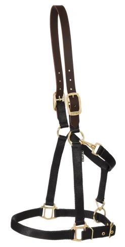Best ZEETA INTERNATIONAL DS Heavy Nylon Breakaway Halter
