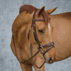 Discount KENTUCKY HORSEWEAR Dy'on® Anatomic Bridle Brown