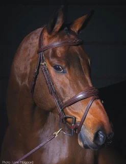 Discount KENTUCKY HORSEWEAR Dy'on® Anatomic Bridle Brown