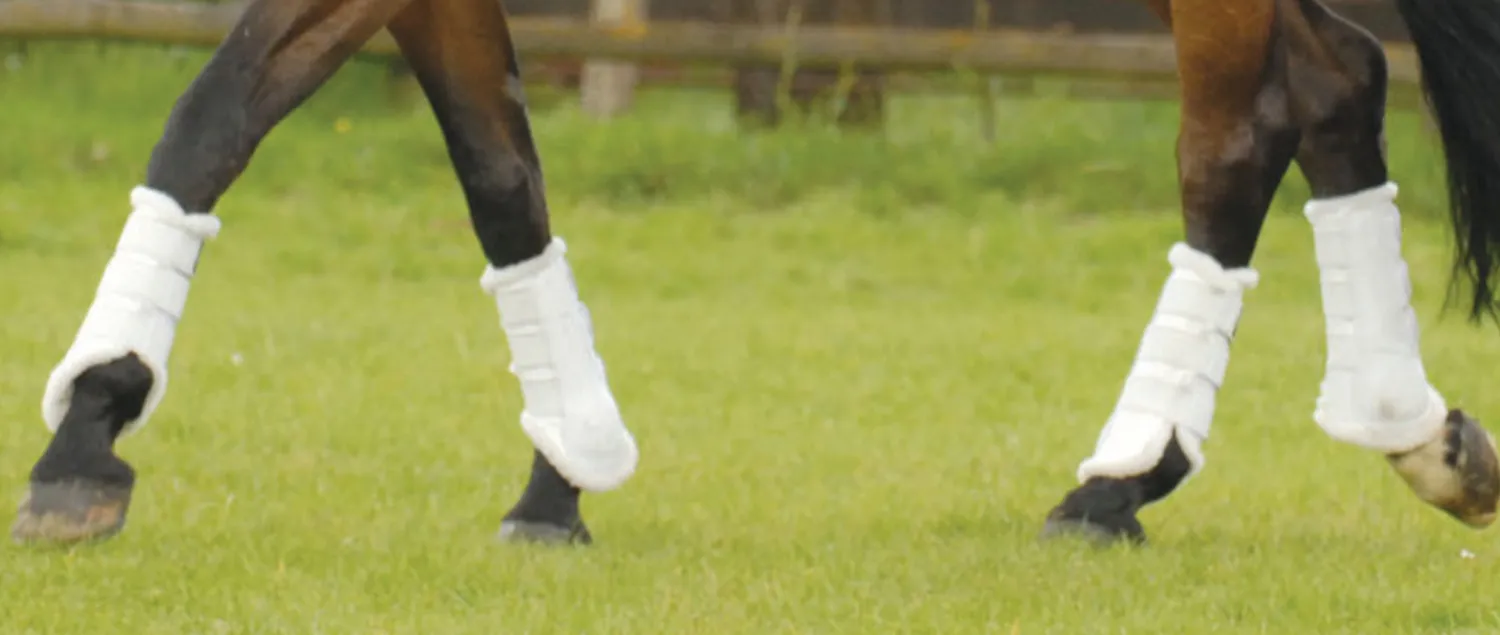 Online WORLD EQUSTRN BRNDS E.A. Mattes Front Sheepskin Boots