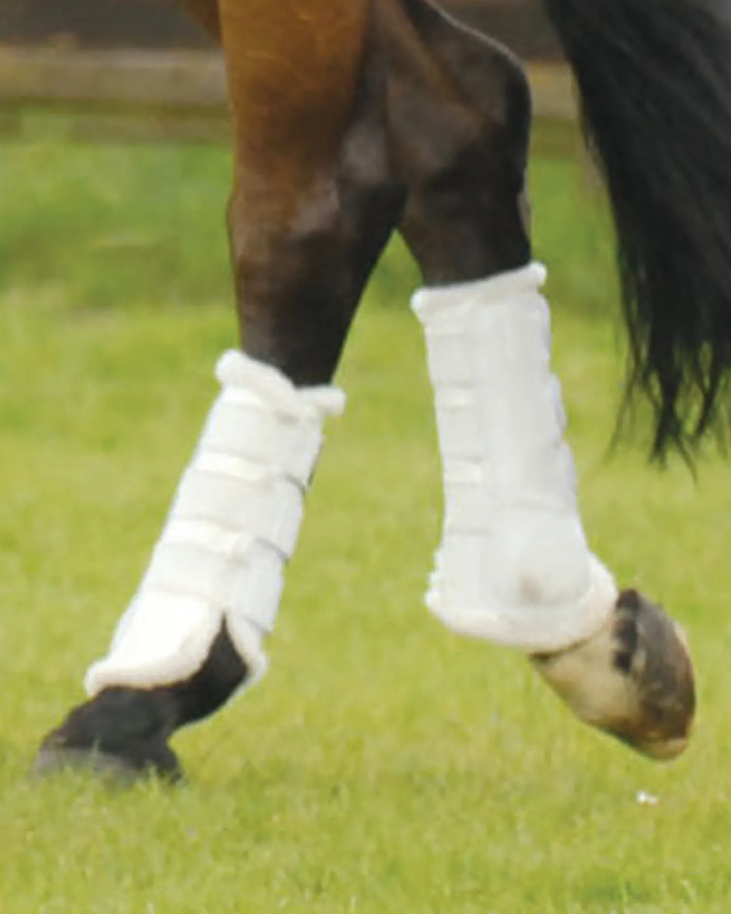 Outlet WORLD EQUSTRN BRNDS E.A. Mattes Hind Sheepskin Boots