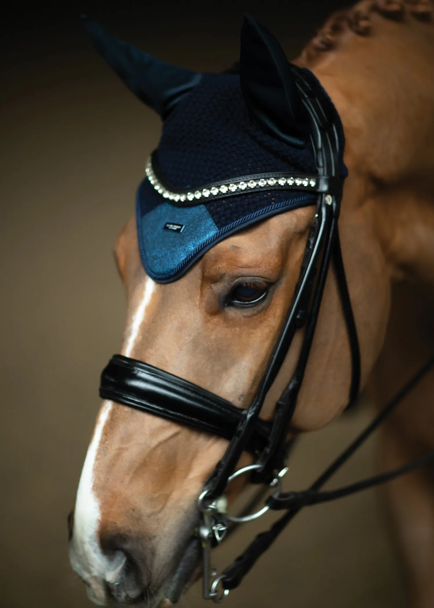 Clearance EQUESTRIAN STOCKHOLM Glimmer Ear Bonnet
