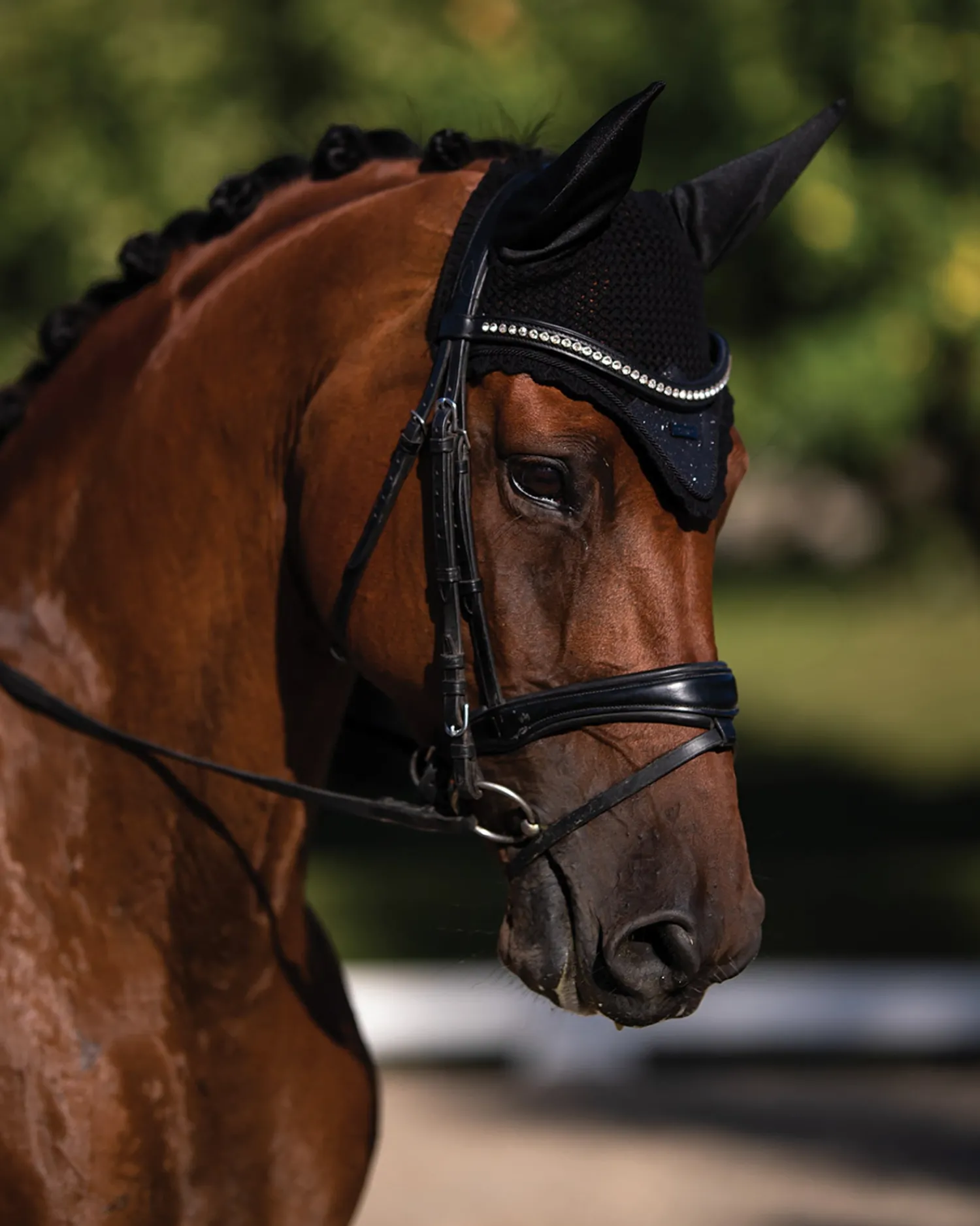 Clearance EQUESTRIAN STOCKHOLM Glimmer Ear Bonnet