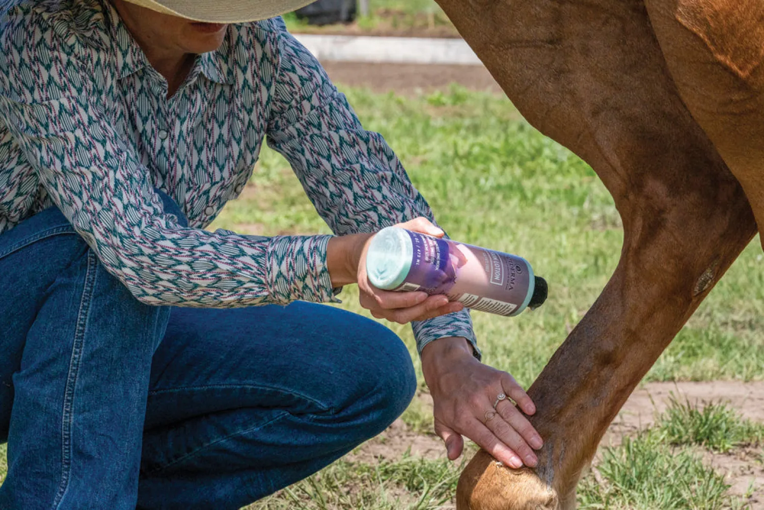 Sale ANIMAL HEALTH INT Equiderma® Skin Lotion