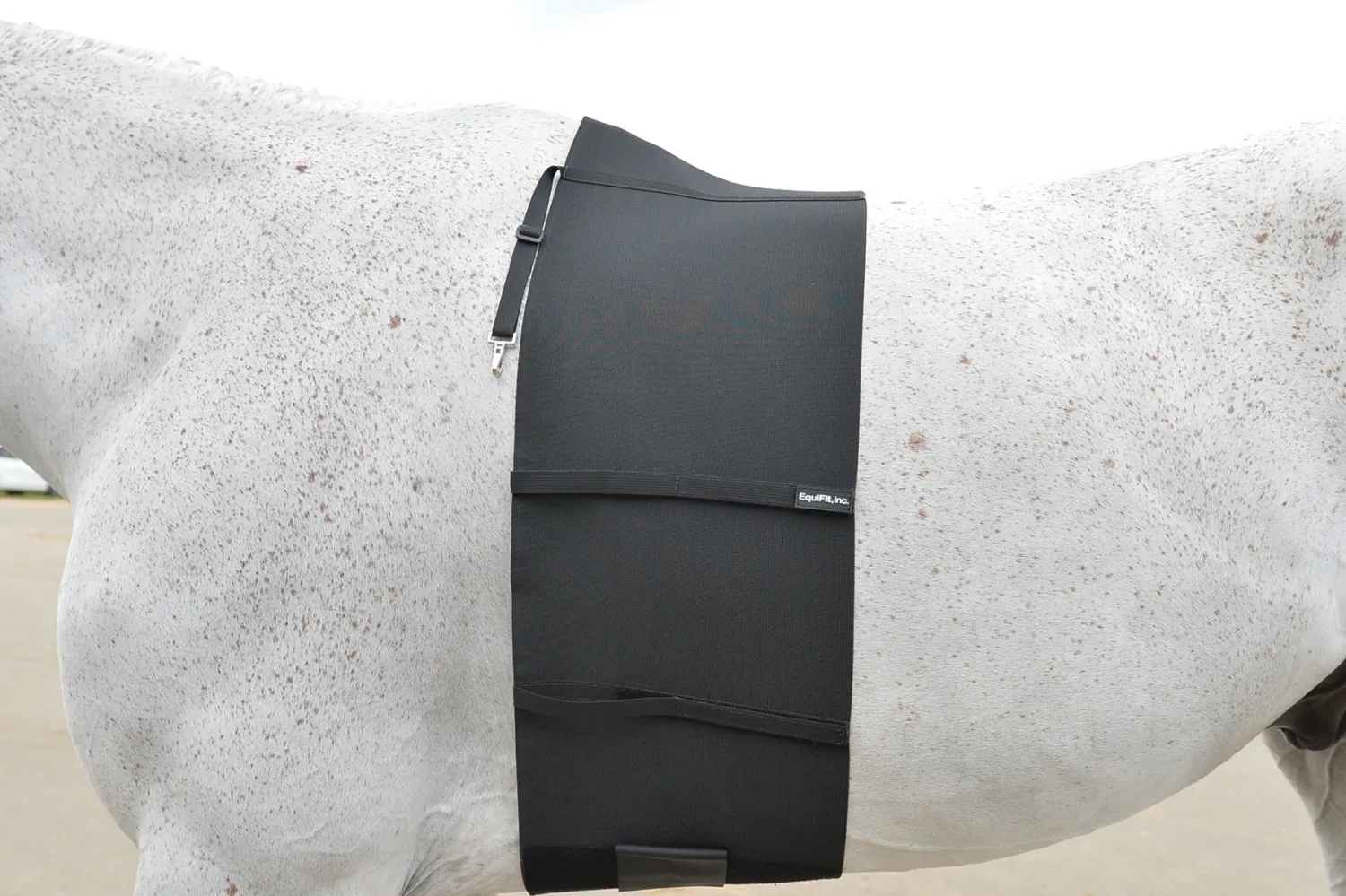 Clearance EQUIFIT ® BellyBand™ Black