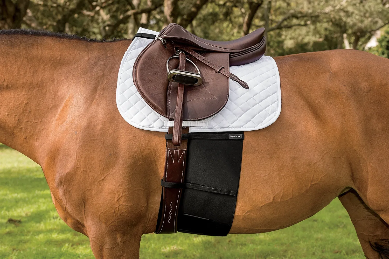 Clearance EQUIFIT ® BellyBand™ Black