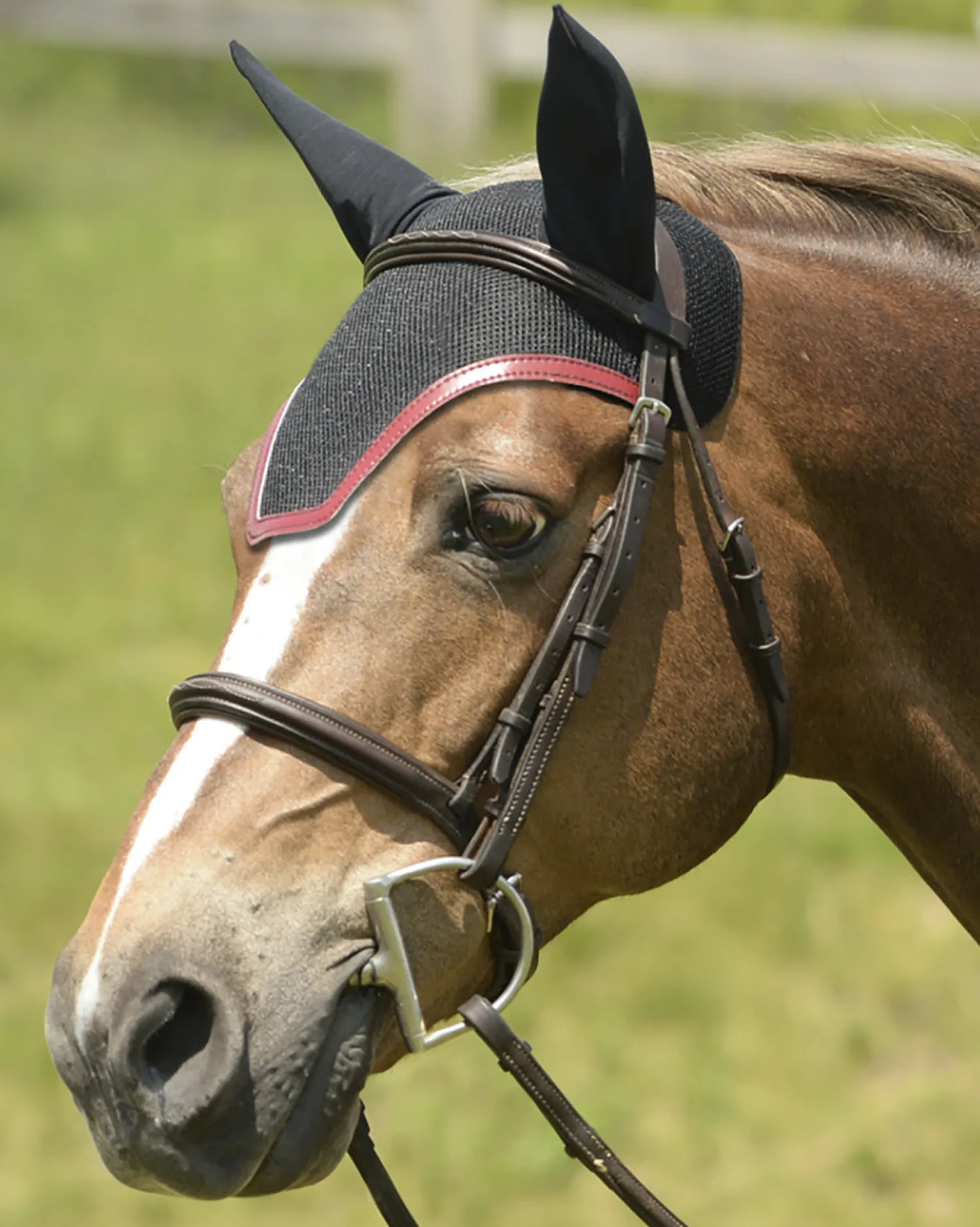 Online EQUIFIT ® Ear Bonnet with Colored Trim and No Logo
