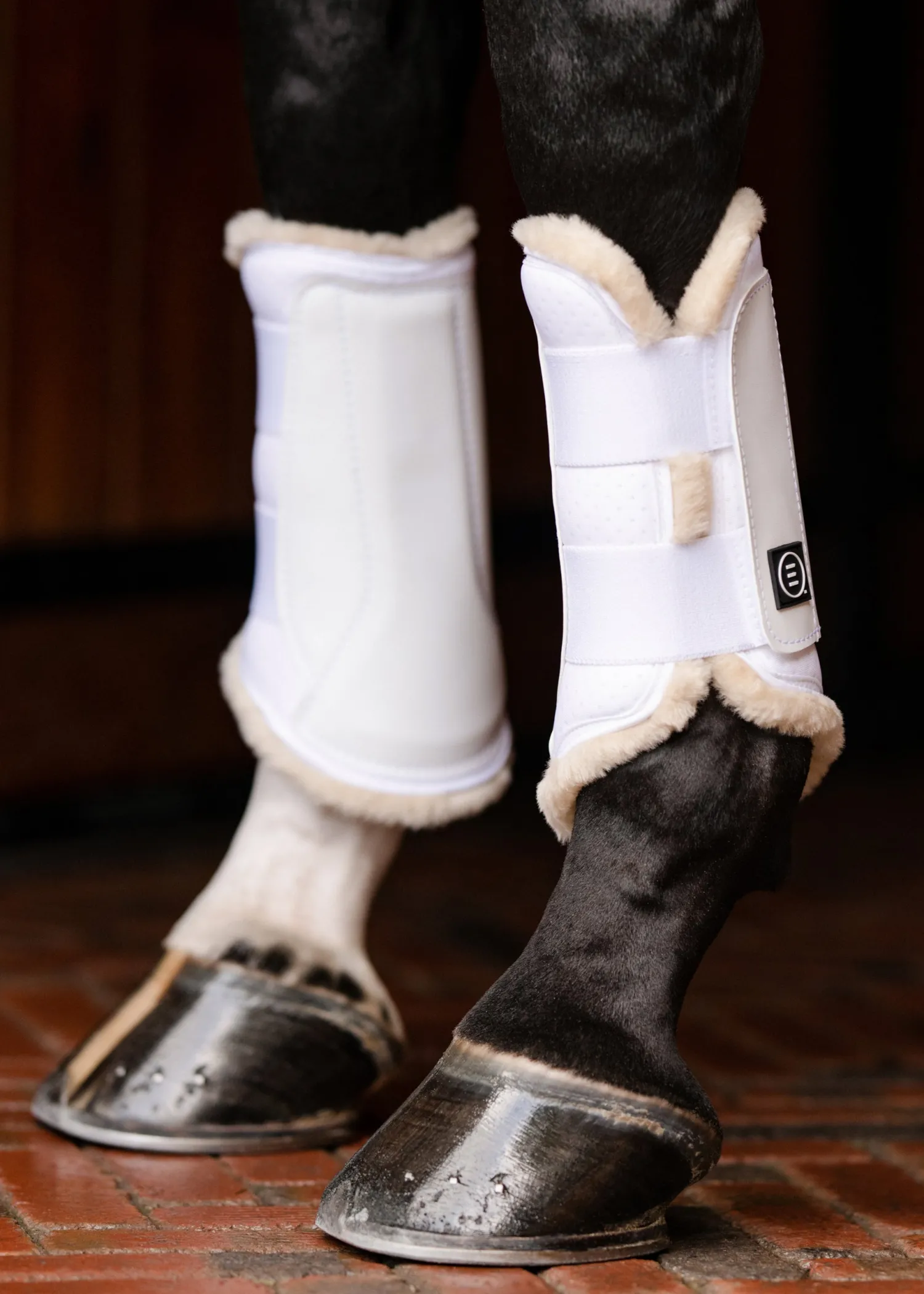 Online EQUIFIT ® Essential EveryDay™ Front Boots, Vegan SheepsWool™