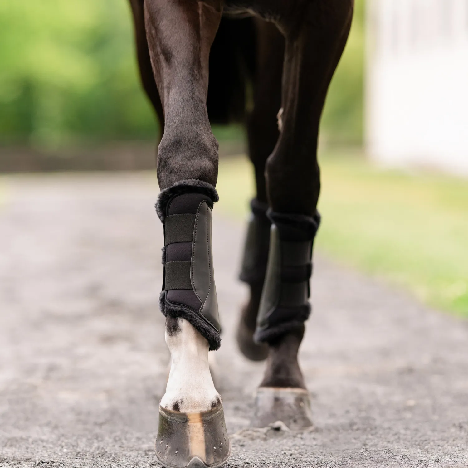 Online EQUIFIT ® Essential EveryDay™ Front Boots, Vegan SheepsWool™