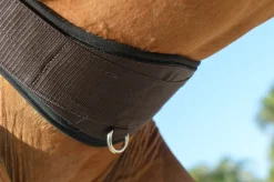 EQUIFIT ® Essential Schooling Girth with SheepsWool™ Liner Brown/Black