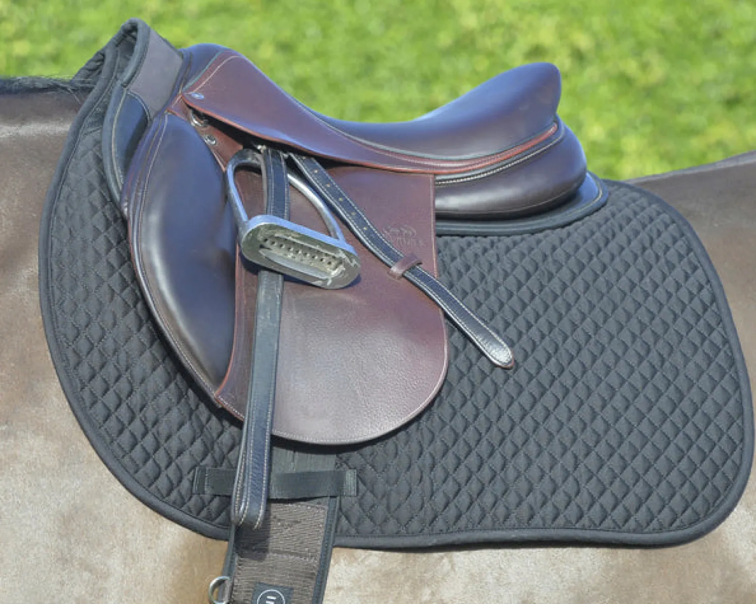 Best EQUIFIT ® Essential Square Pad
