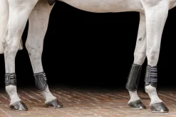 Best EQUIFIT ® MultiTeq Front Boots