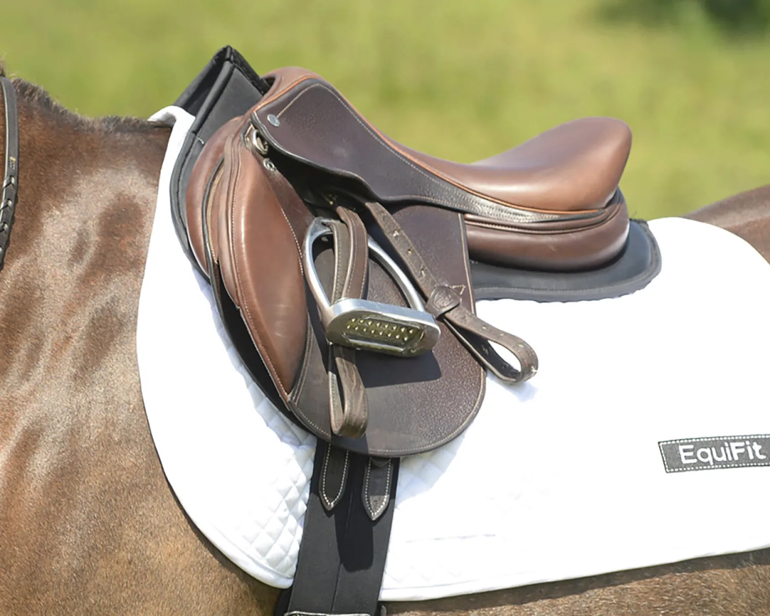 EQUIFIT ® Pony ImpacTeq Contour Half Pad with Colored Trim