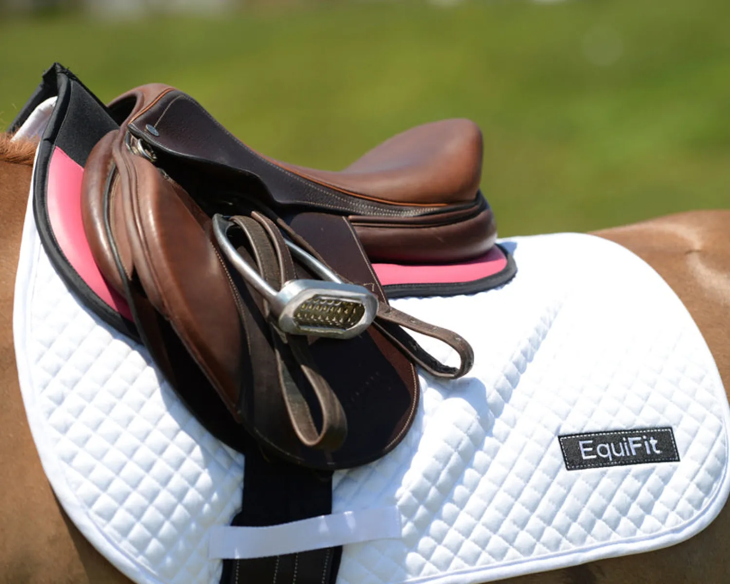 EQUIFIT ® Pony ImpacTeq Contour Half Pad with Colored Trim