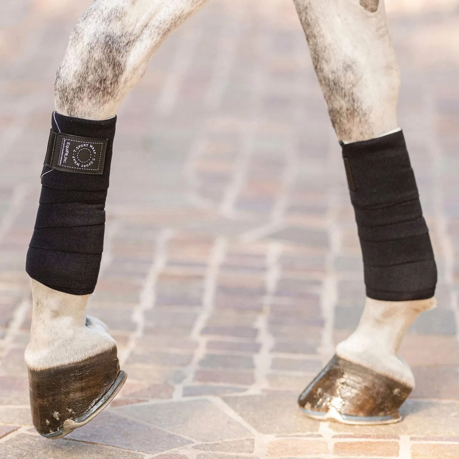 Hot EQUIFIT ® T-Sport Wraps™