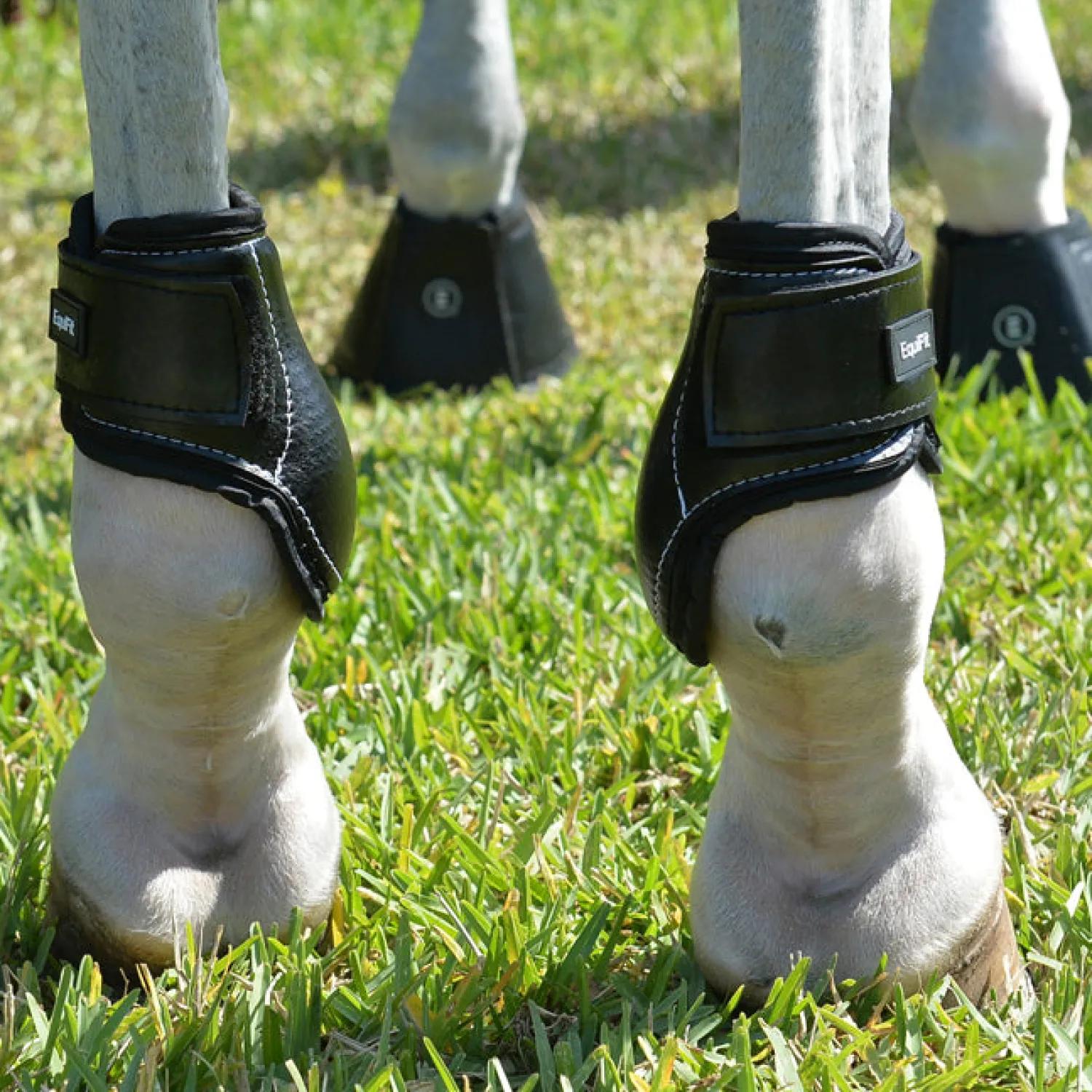 Sale EQUIFIT ® Young Horse Boots with ImpacTeq®