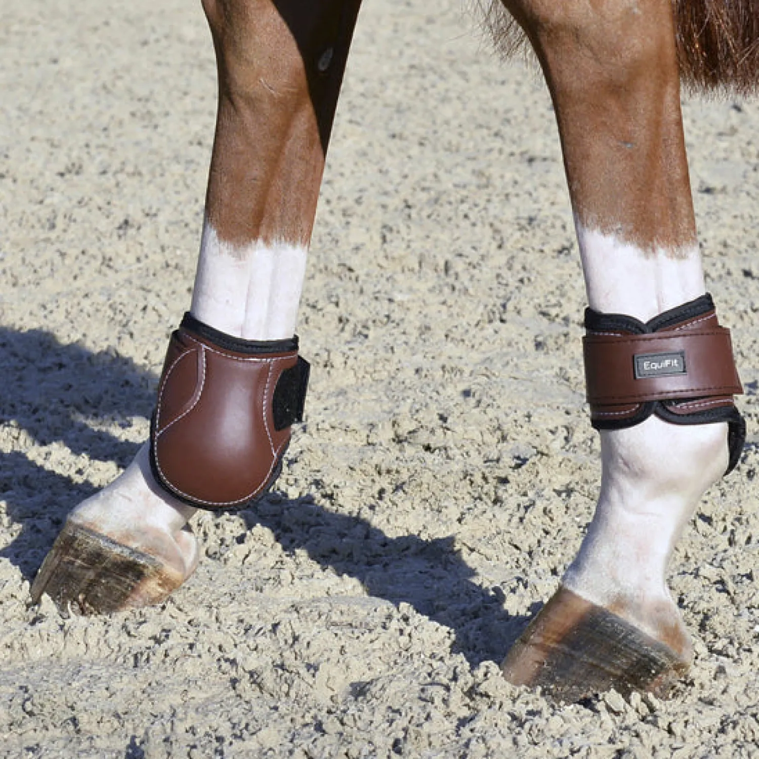 Sale EQUIFIT ® Young Horse Boots with ImpacTeq®
