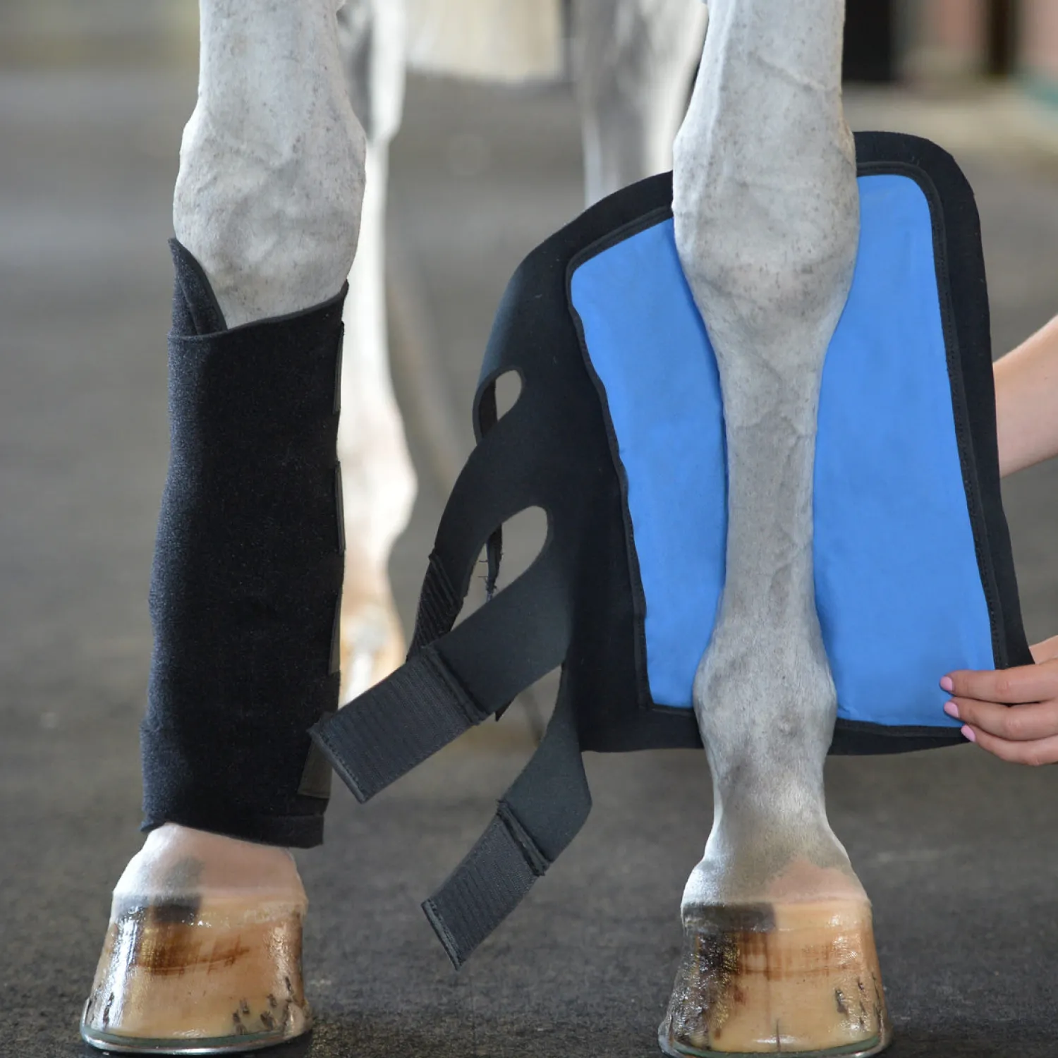 Sale EQUIFIT ®Essential Cold Therapy Tendon Boots Black