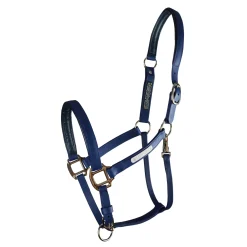 Online WORLD EQUSTRN BRNDS Equilibrium Stellar All-Weather Breakaway Halter