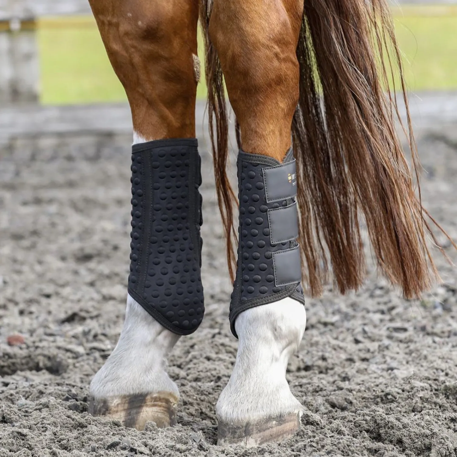 Sale WORLD EQUSTRN BRNDS Equilibrium Stretch & Flex Training Wraps